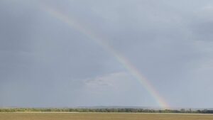 Regenbogen